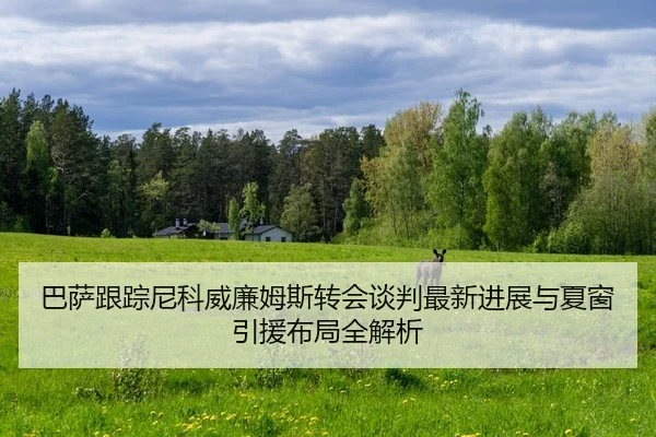 巴萨跟踪尼科威廉姆斯转会谈判最新进展与夏窗引援布局全解析